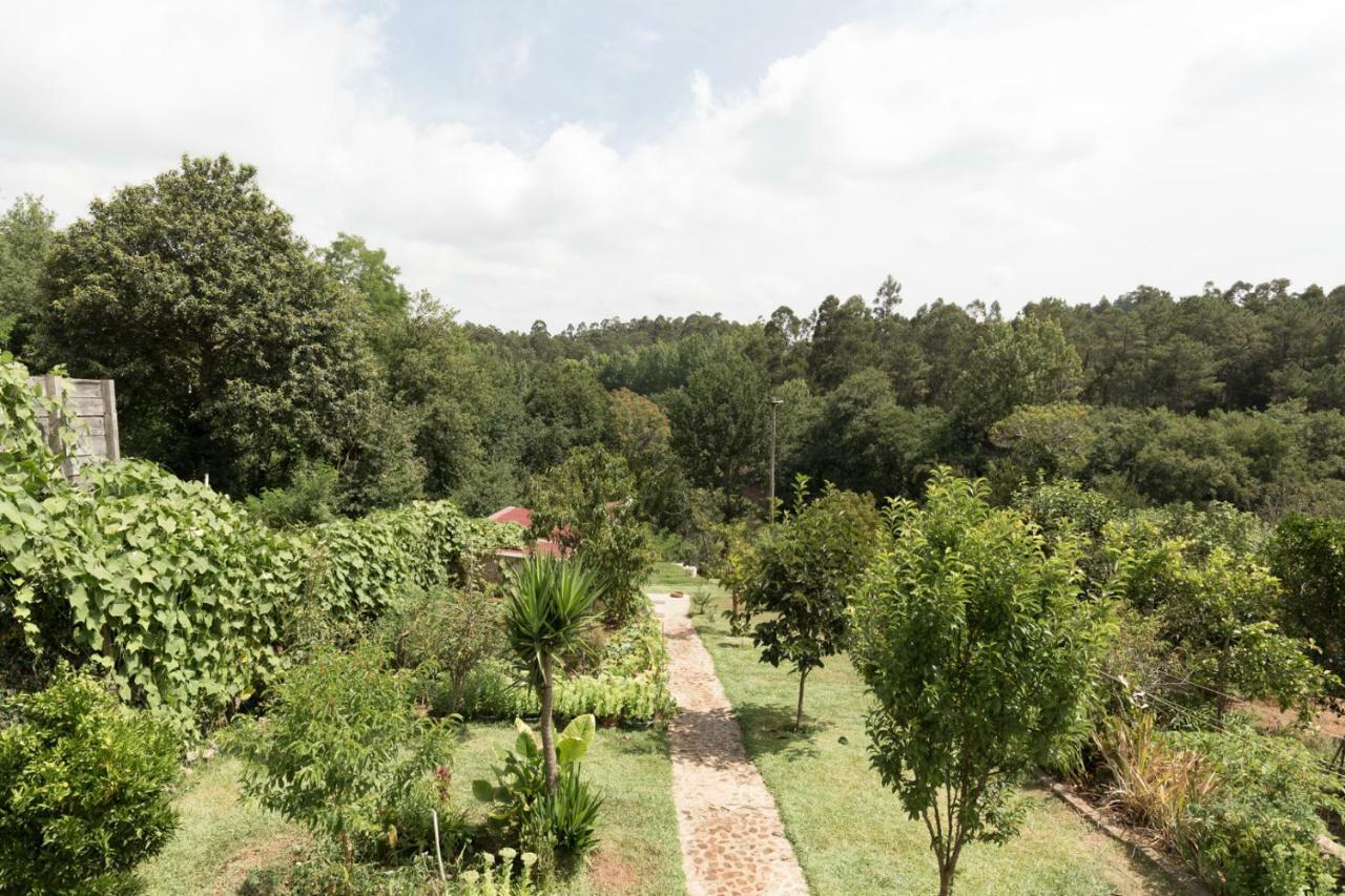 Hotel Casa Do Campo Al Caldas de Sao Jorge Zewnętrze zdjęcie